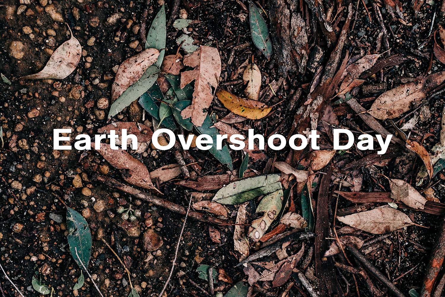 Earth overshoot day